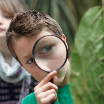 Boy examining a leaf with a magnifying glass